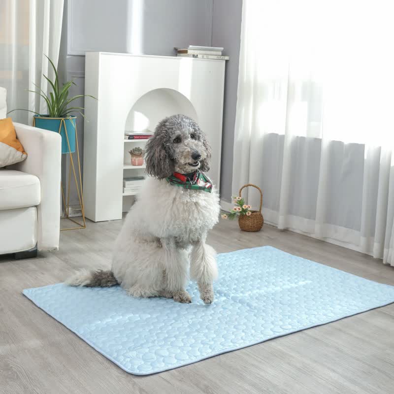 Tappetino rinfrescante estivo assorbente semplice per animali domestici