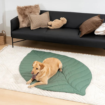 Tappetino assorbente morbido per animali domestici a forma di foglie creative