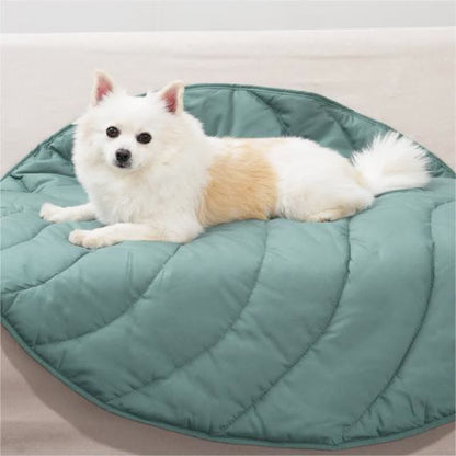 Tappetino assorbente morbido per animali domestici a forma di foglie creative
