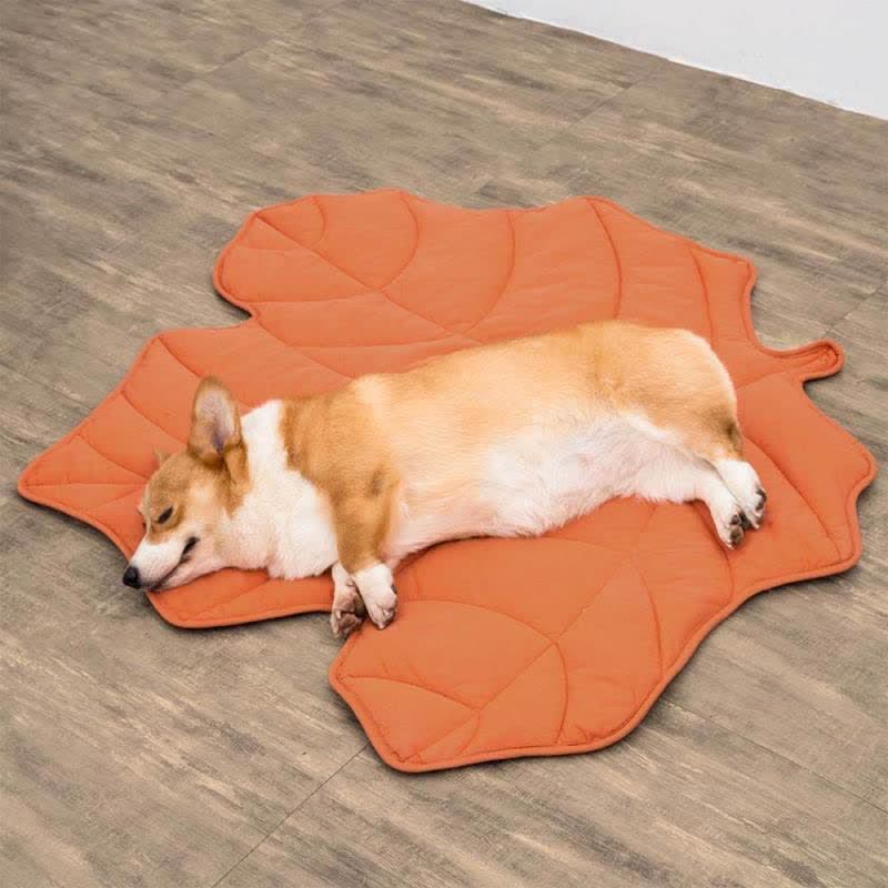 Tappetino assorbente morbido per animali domestici a forma di foglie creative