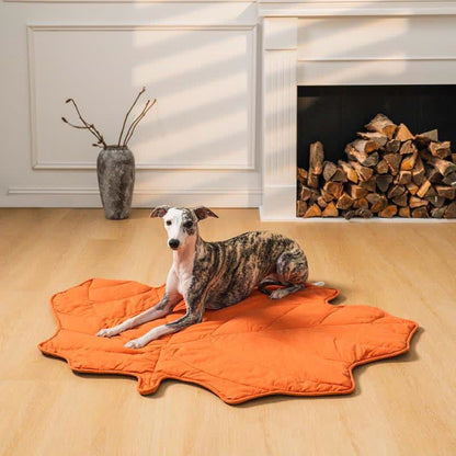 Tappetino assorbente morbido per animali domestici a forma di foglie creative