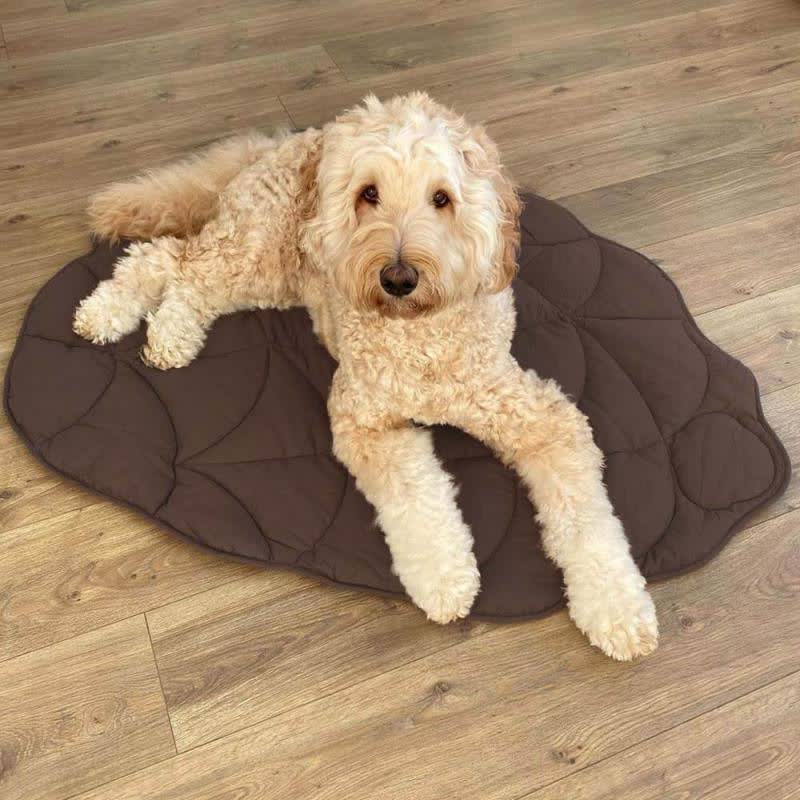 Tappetino assorbente morbido per animali domestici a forma di foglie creative