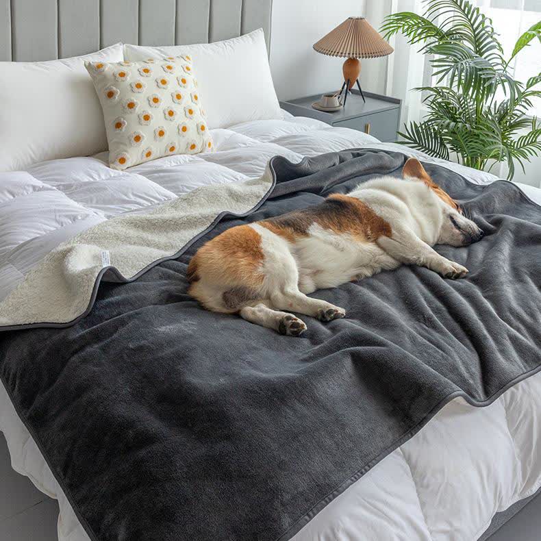 Coperta impermeabile Sherpa per animali domestici