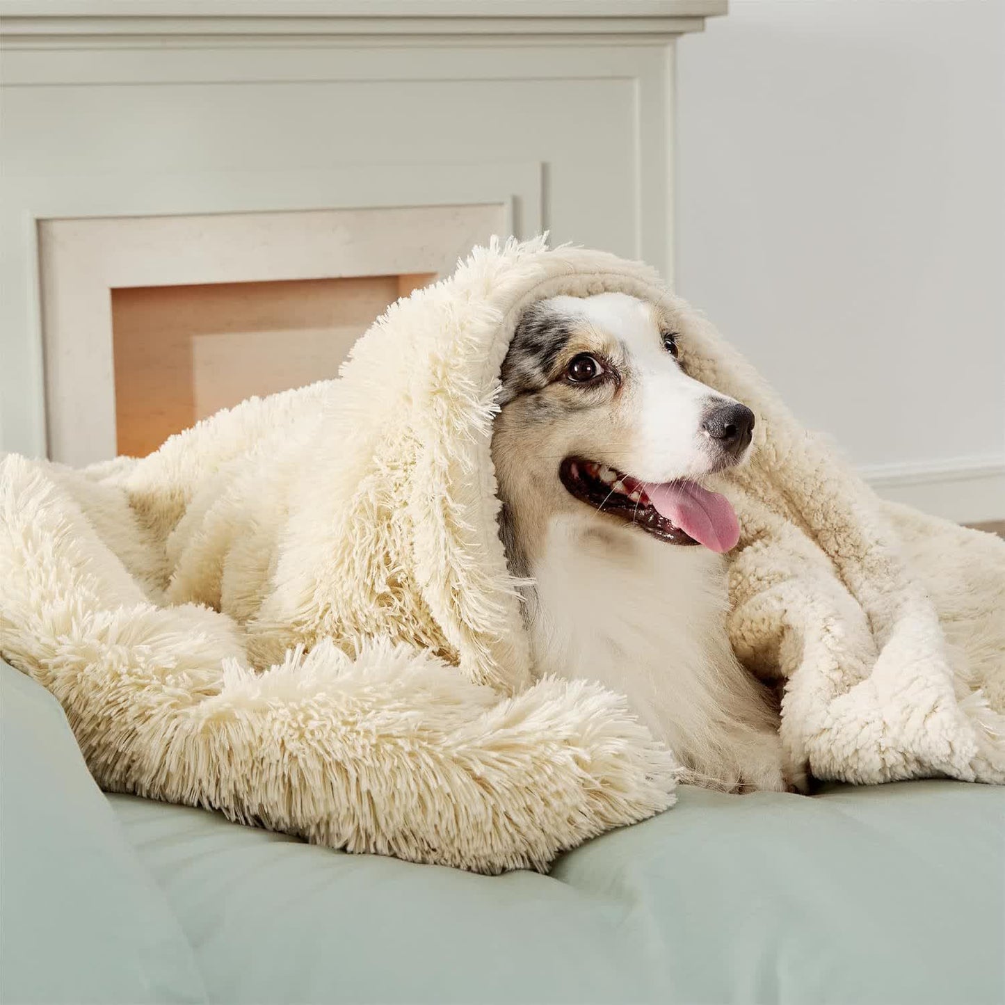 Coperta morbida impermeabile Sherpa per animali domestici