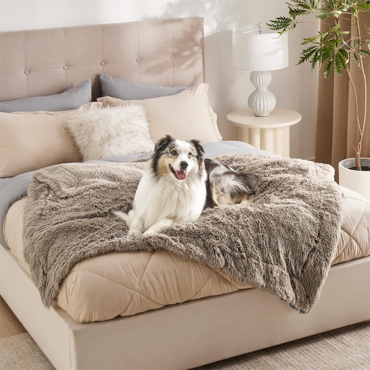 Coperta morbida impermeabile Sherpa per animali domestici