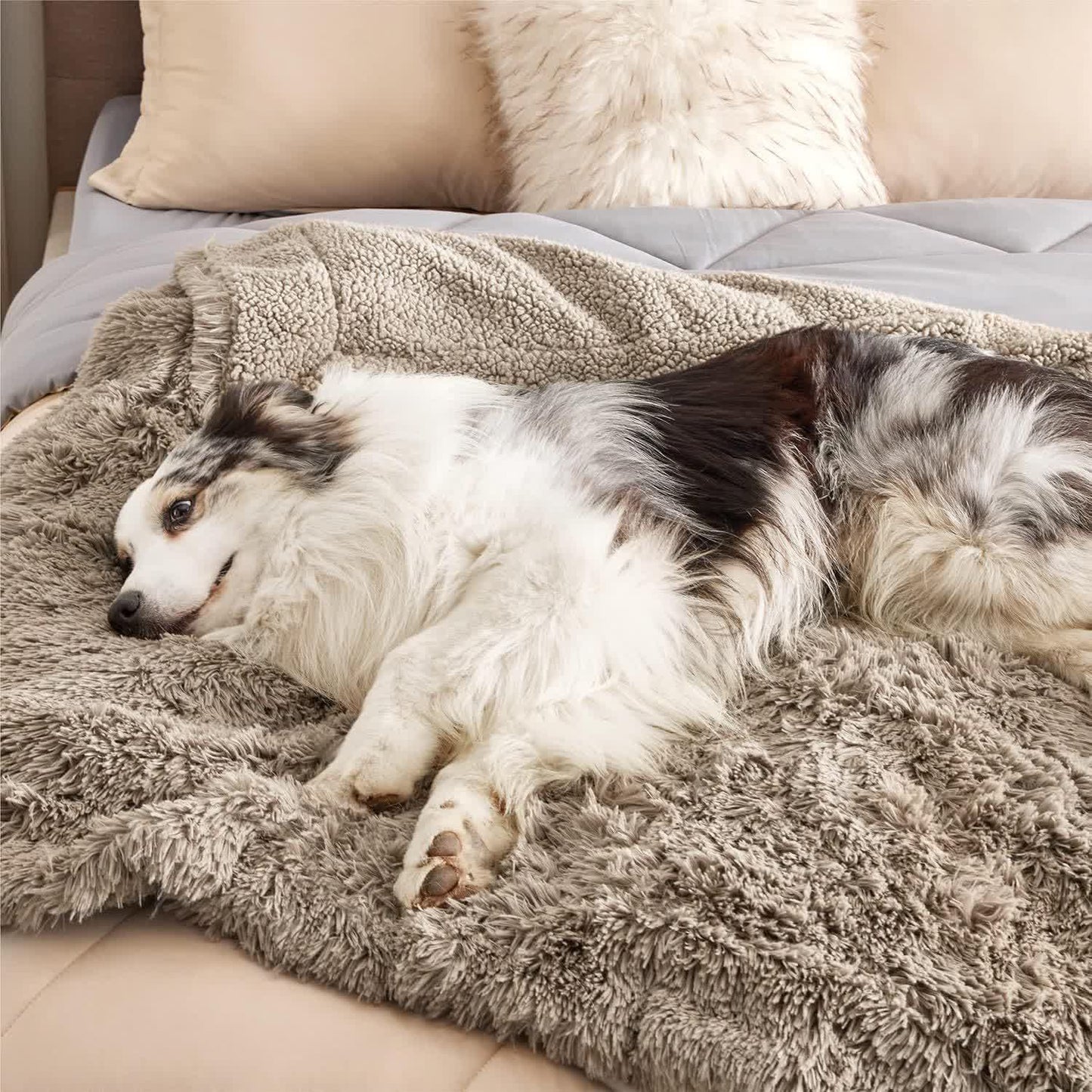 Coperta morbida impermeabile Sherpa per animali domestici