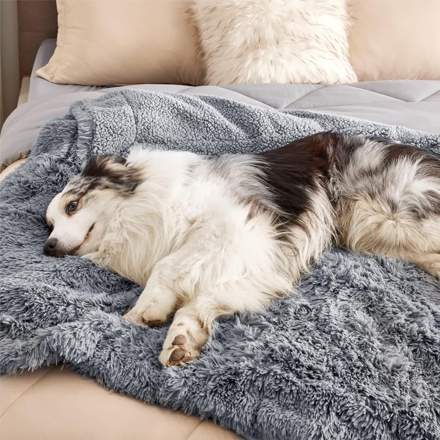 Coperta morbida impermeabile Sherpa per animali domestici