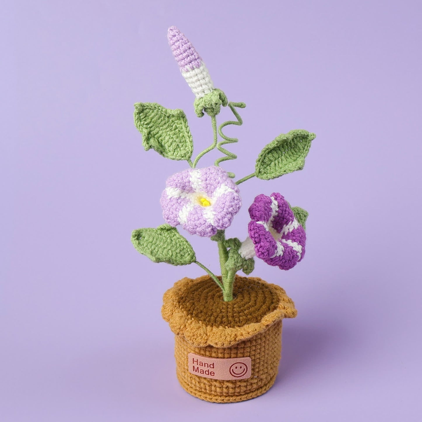 Decorazione in vaso intrecciato Morning Glory