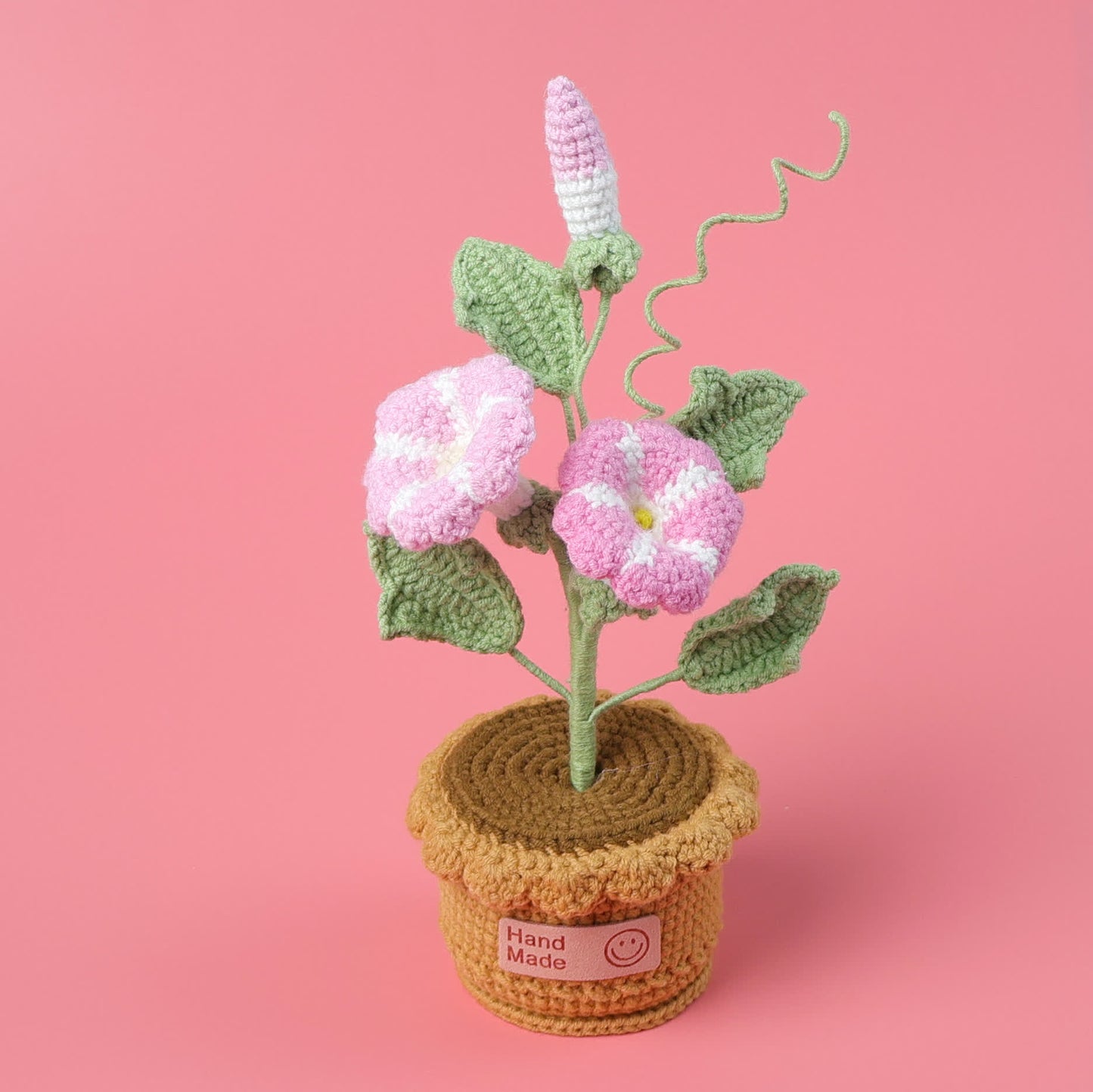 Decorazione in vaso intrecciato Morning Glory