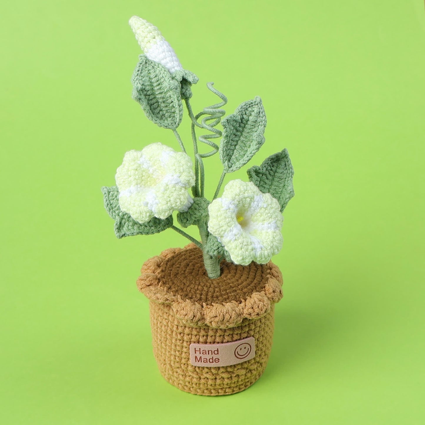 Decorazione in vaso intrecciato Morning Glory