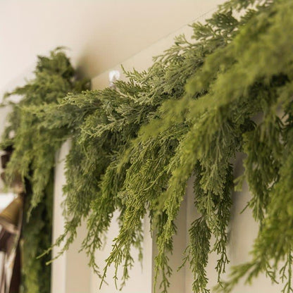 Ghirlanda di pino Norfolk, decorazione natalizia per la casa
