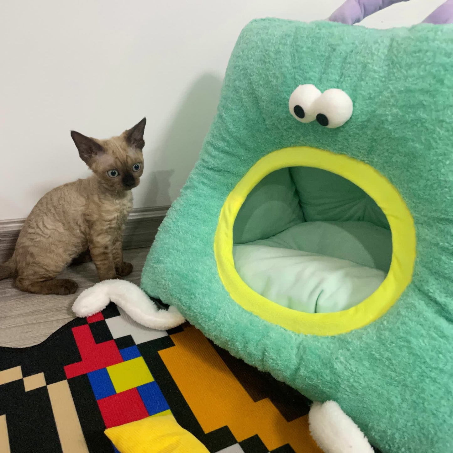 Letto per gatti semichiuso, rimovibile e lavabile