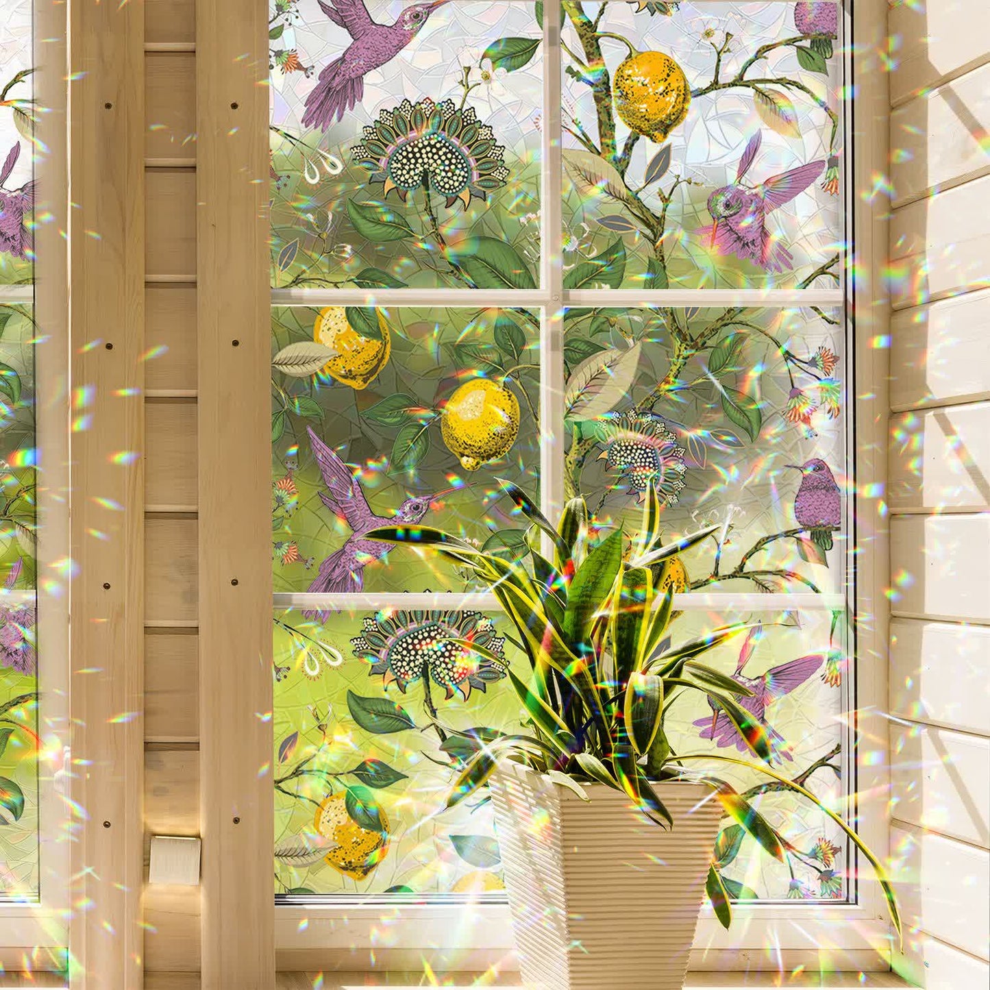 Pellicola per la privacy statica per finestre Floral Bird