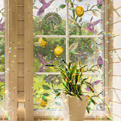 Pellicola per la privacy statica per finestre Floral Bird