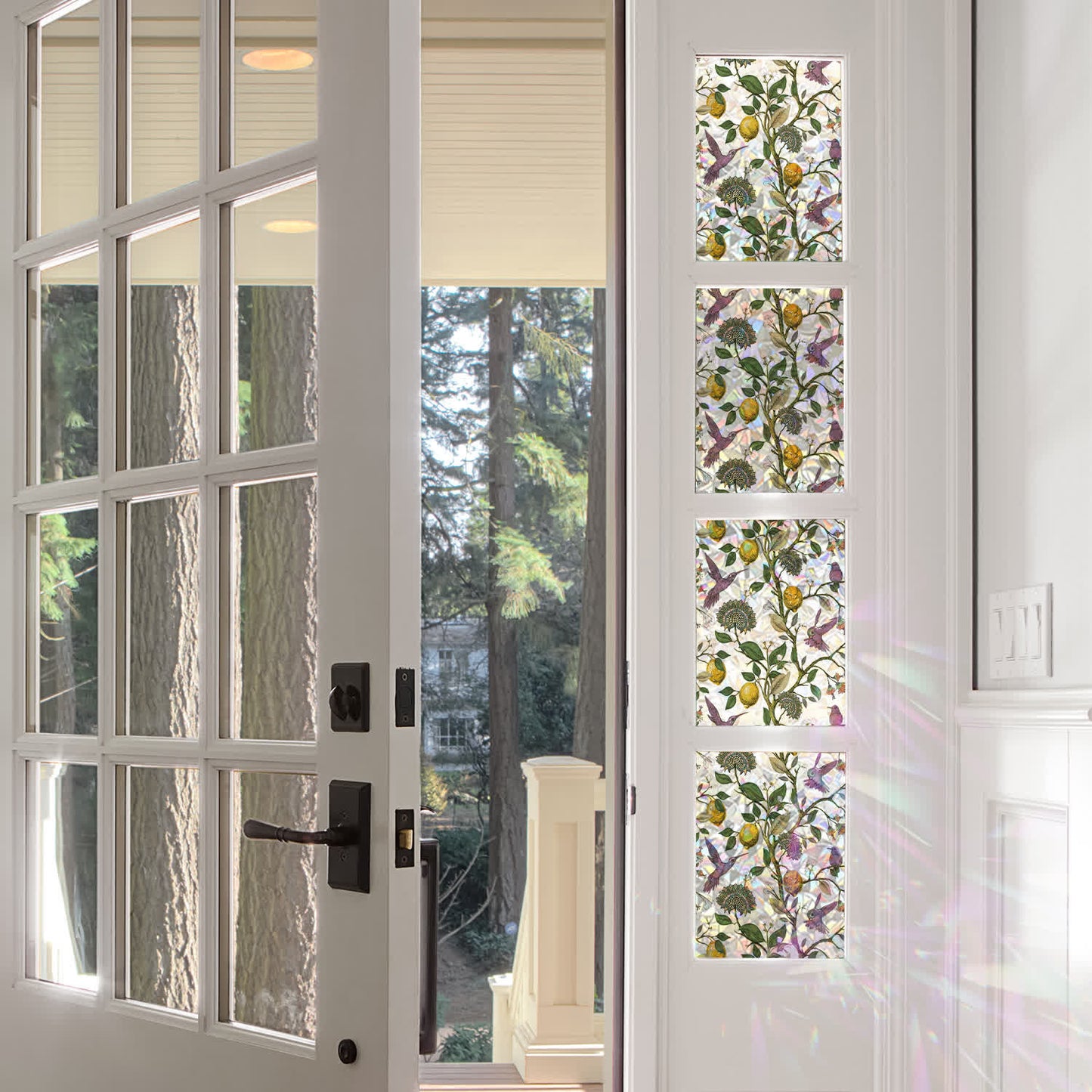 Pellicola per la privacy statica per finestre Floral Bird