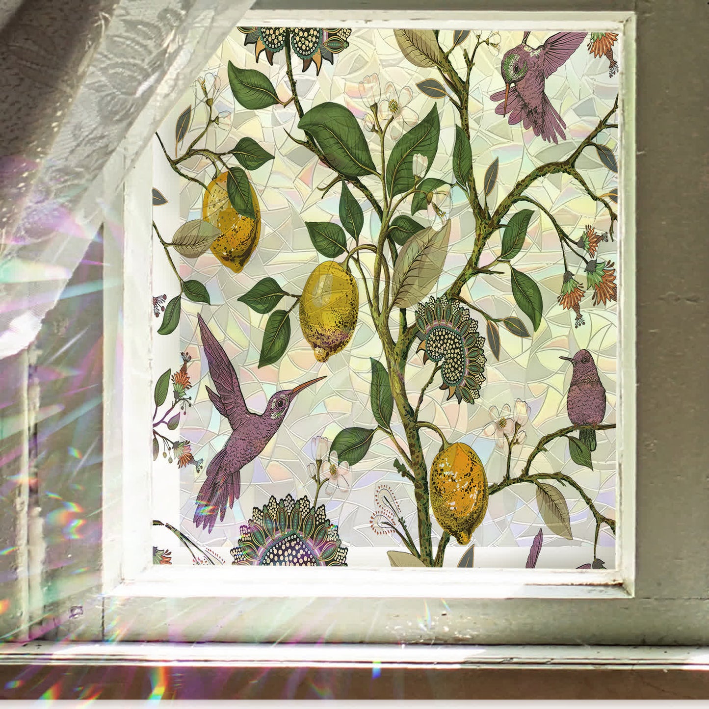 Pellicola per la privacy statica per finestre Floral Bird