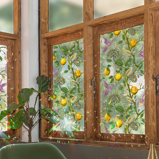 Pellicola per la privacy statica per finestre Floral Bird