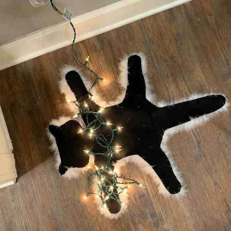 Tappeto decorativo con rifiniture in pelliccia di gatto fritto di zia Bethany